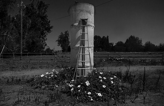 Central Valley still life, Kings River