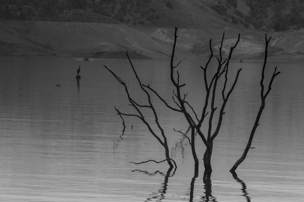 During years of drought, Pine Flat Resivour is practically draining revealing the relics of the past.