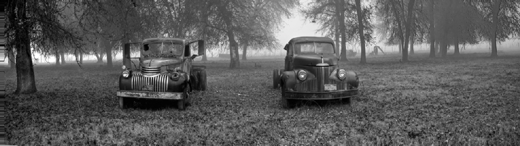 Long abandoned and sitting in a pasture, vintage 1930s trucks sit, decaying in the winter fog.