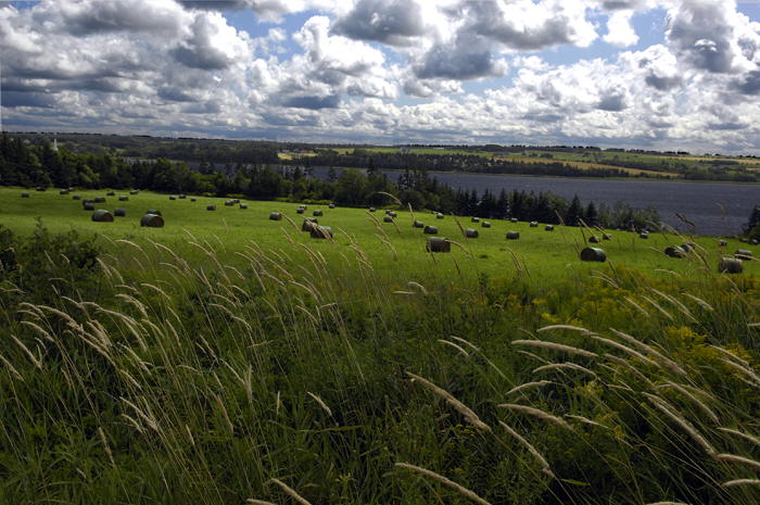 Hay fields, Prince Edward Island, Canada